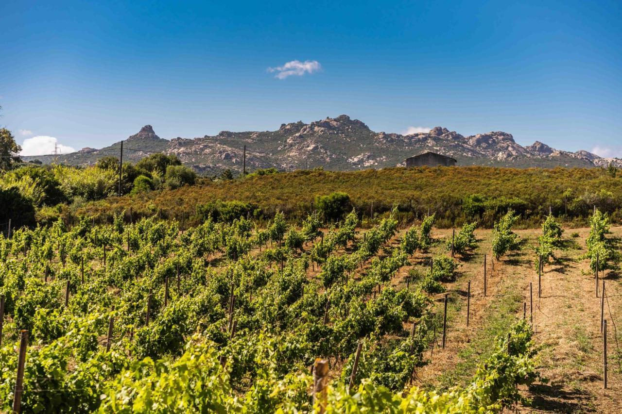 Locanda In Vigna Arzachena Dış mekan fotoğraf