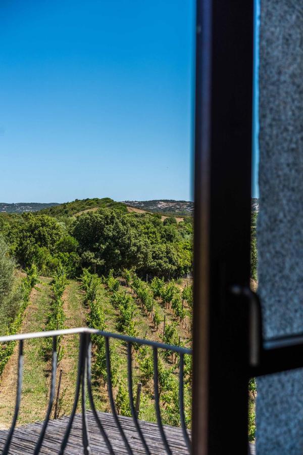 Locanda In Vigna Arzachena Dış mekan fotoğraf