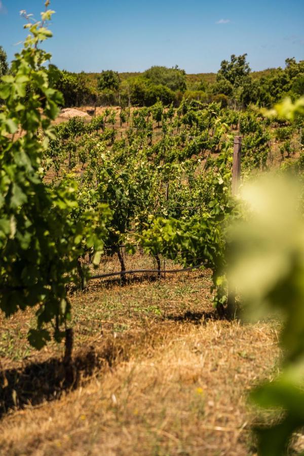 Locanda In Vigna Arzachena Dış mekan fotoğraf